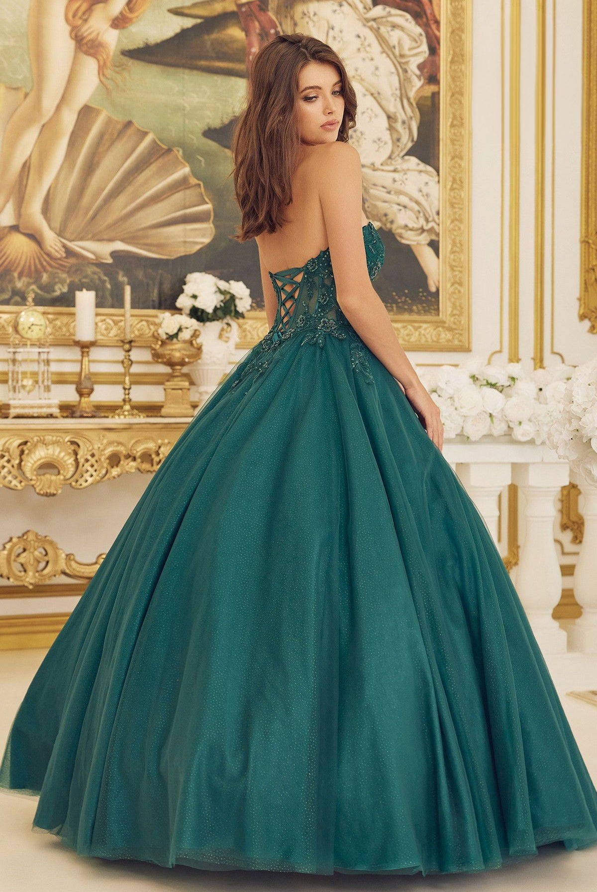 Beaded Applique Illusion Corset Long Quinceanera Dress NXCU1194-Quinceanera Dress-smcfashion.com