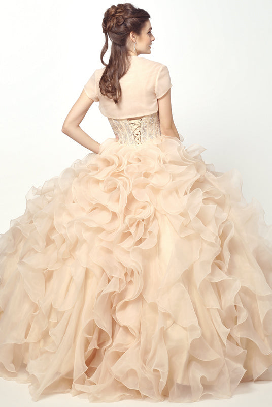 Beaded Corset Bodice With Organza Ruffle Skirt Long Quinceanera Dress JT1418-Quinceanera-smcfashion.com