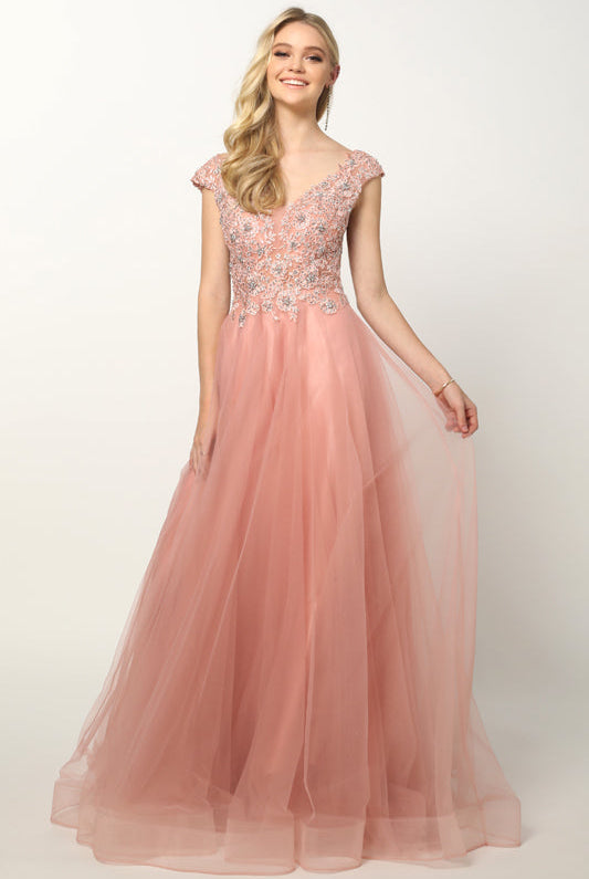 Embroidered Lace Bodice Cap Sleeves Tulle Skirt Long Prom Dress JT684-Prom Dress-smcfashion.com