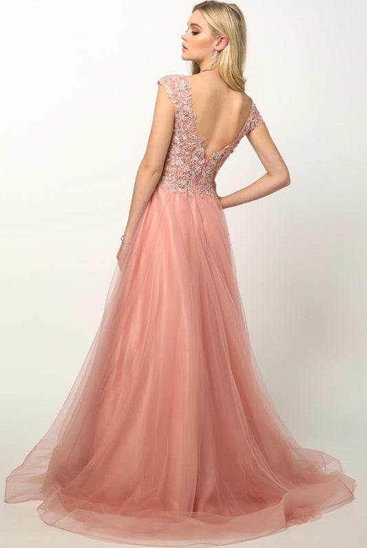 Embroidered Lace Bodice Cap Sleeves Tulle Skirt Long Prom Dress JT684-Prom Dress-smcfashion.com