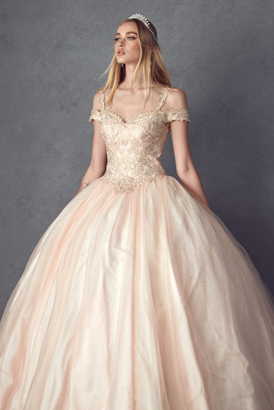 Embroidered Applique Tulle Off Shoulder Long Quinceanera Dress JT1430-Quinceanera Dress-smcfashion.com