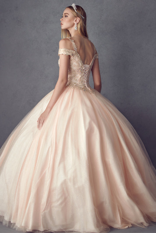 Embroidered Applique Tulle Off Shoulder Long Quinceanera Dress JT1430-Quinceanera Dress-smcfashion.com