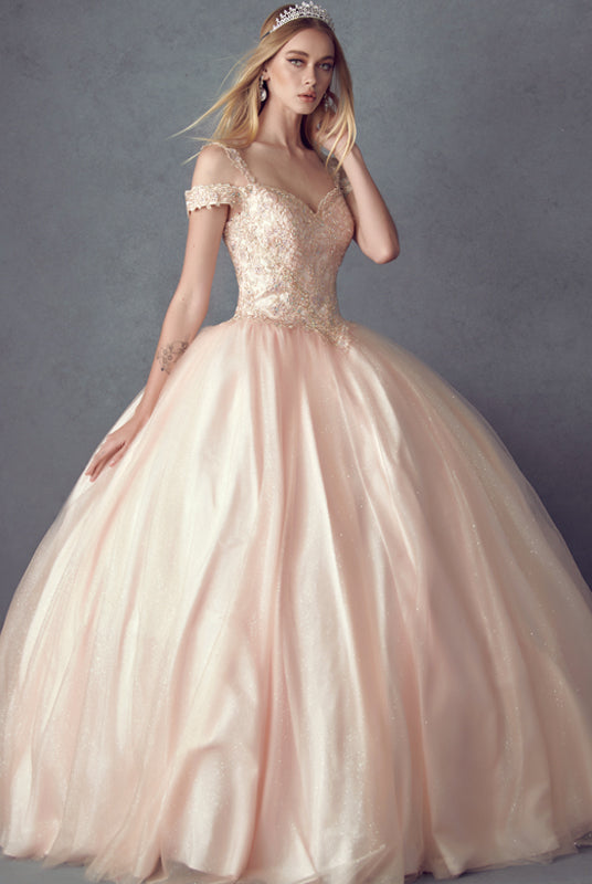 Embroidered Applique Tulle Off Shoulder Long Quinceanera Dress JT1430-Quinceanera Dress-smcfashion.com