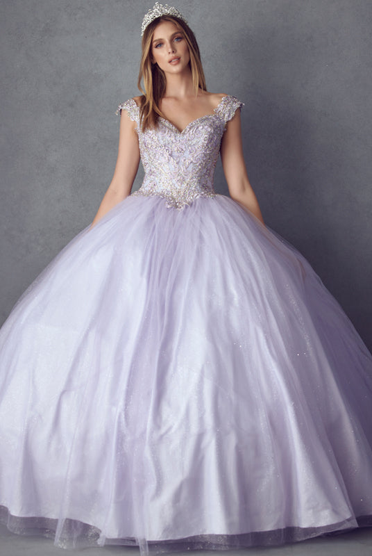 Embroidered Applique Tulle Off Shoulder Long Quinceanera Dress JT1430-Quinceanera Dress-smcfashion.com