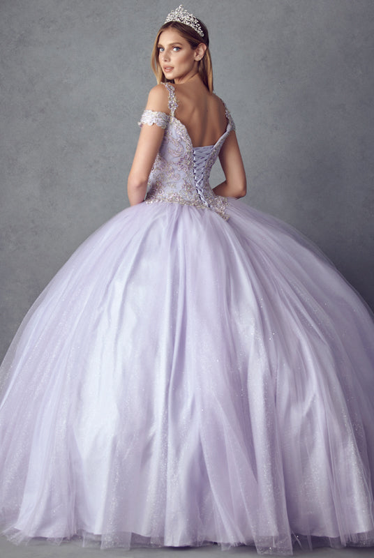 Embroidered Applique Tulle Off Shoulder Long Quinceanera Dress JT1430-Quinceanera Dress-smcfashion.com