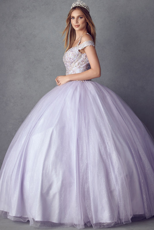 Embroidered Applique Tulle Off Shoulder Long Quinceanera Dress JT1430-Quinceanera Dress-smcfashion.com
