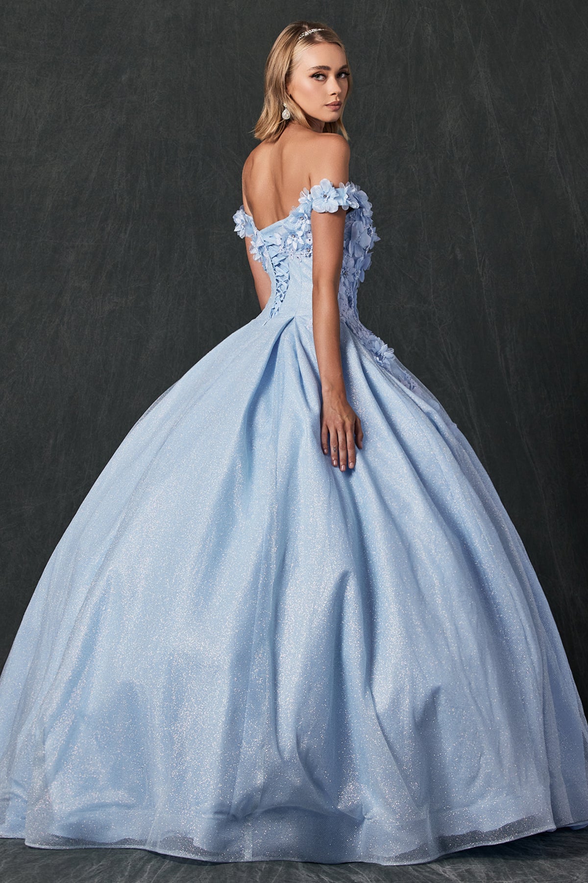 Floral Embroidered Tulle Sweetheart Long Quinceanera Dress JT1433-Quinceanera Dress-smcfashion.com
