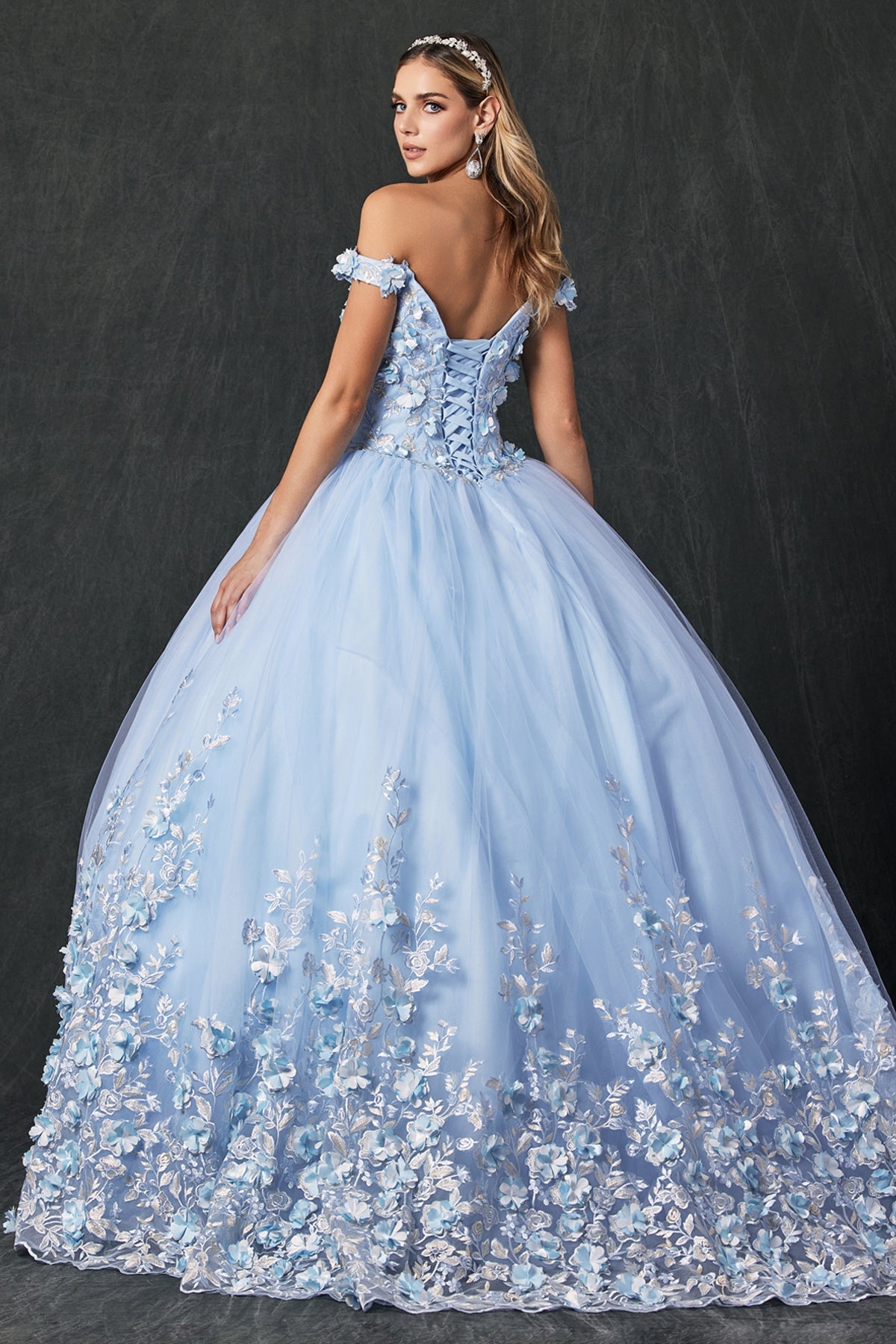 Floral Applique Off Shoulder Straps Long Quinceanera Dress JT1434-Quinceanera Dress-smcfashion.com