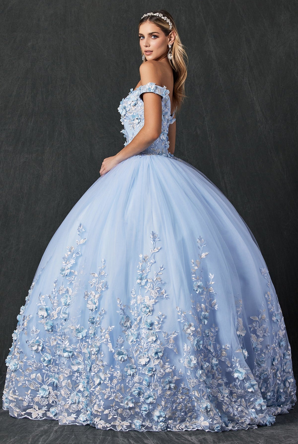 Floral Applique Off Shoulder Straps Long Quinceanera Dress JT1434-Quinceanera Dress-smcfashion.com