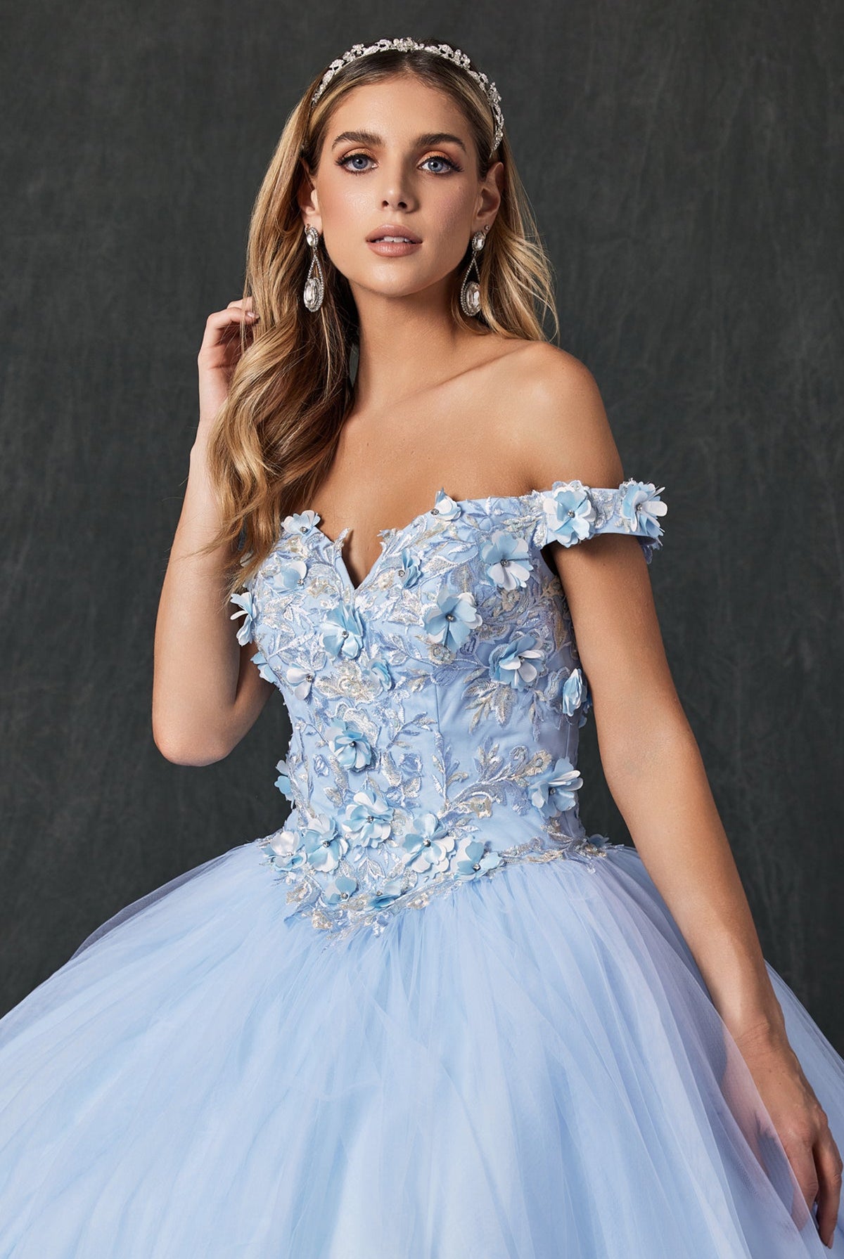 Floral Applique Off Shoulder Straps Long Quinceanera Dress JT1434-Quinceanera Dress-smcfashion.com
