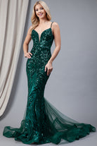 Embroidered Sequins Tulle Skirt Illusion V-Neck Long Prom Dress AC7021-Prom Dress-smcfashion.com