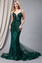 Embroidered Sequins Tulle Skirt Illusion V-Neck Long Prom Dress AC7021-Prom Dress-smcfashion.com