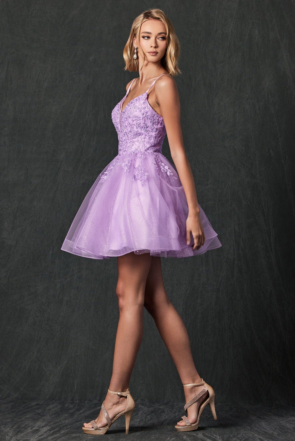Illusion Sweetheart Open Back Embroidered Bodice Short Cocktail Dress JT859-Cocktail Dress-smcfashion.com