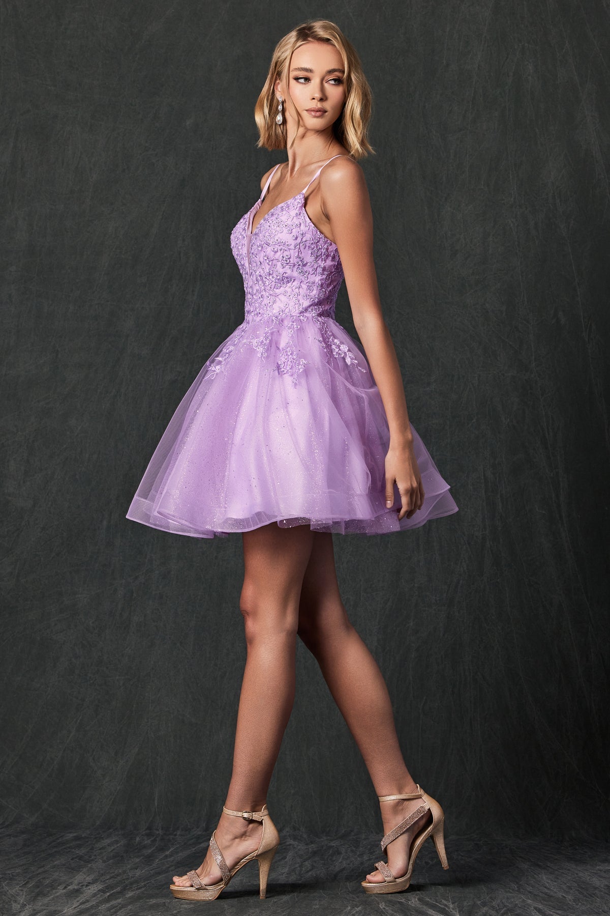 Illusion Sweetheart Open Back Embroidered Bodice Short Cocktail Dress JT859-Cocktail Dress-smcfashion.com