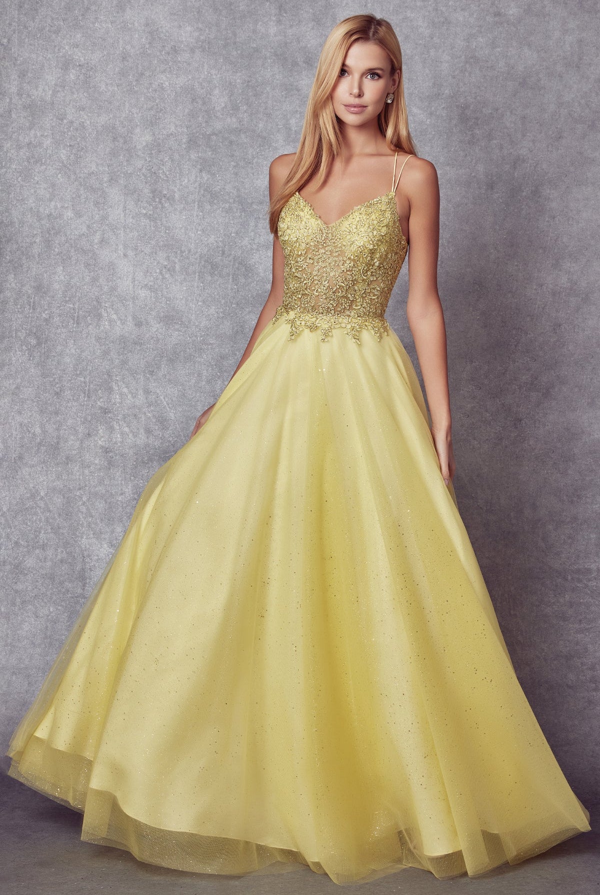 Tulle Skirt Embroidered Bodice Open Criss Cross Back Long Prom Dress JT268-Prom Dress-smcfashion.com