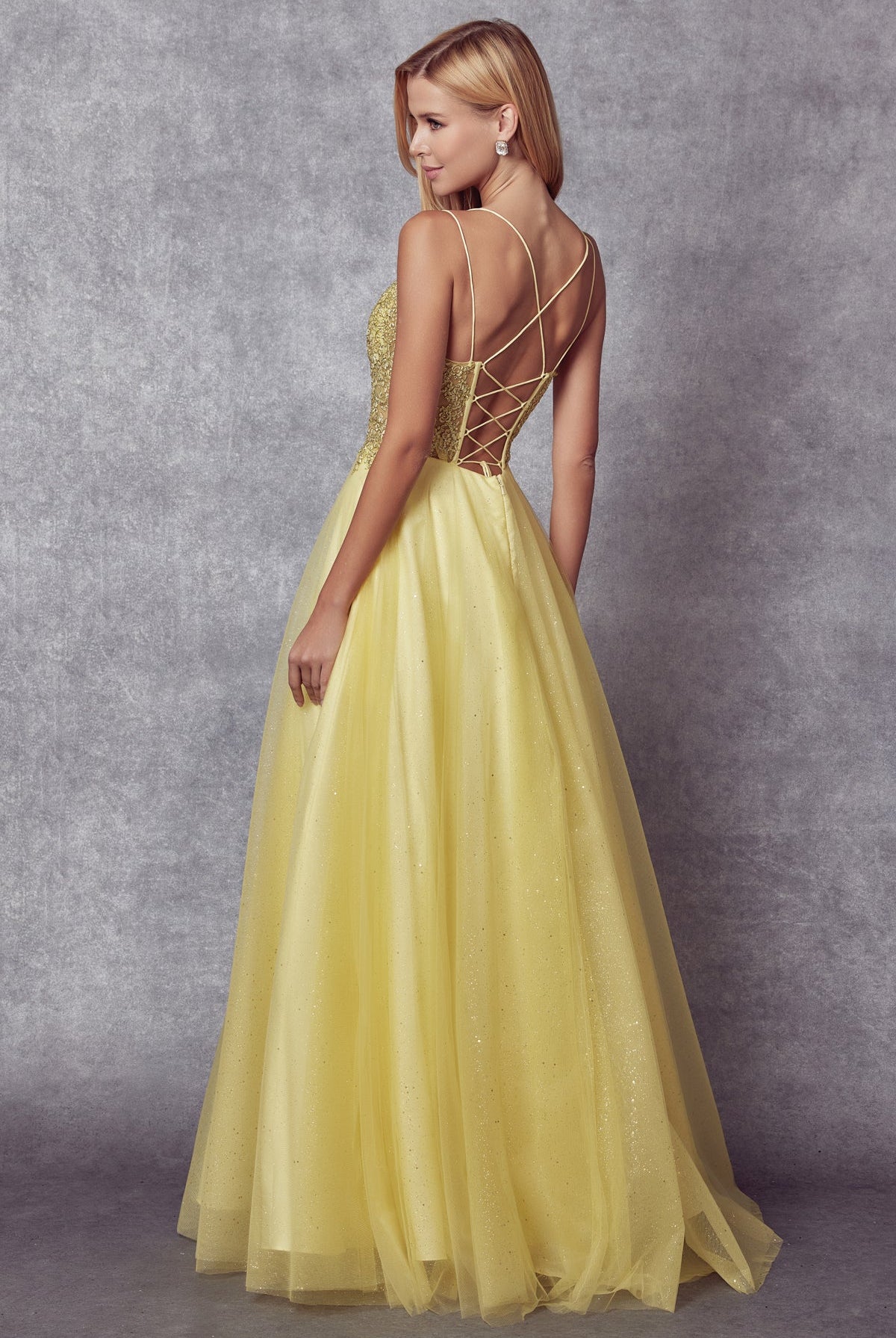 Tulle Skirt Embroidered Bodice Open Criss Cross Back Long Prom Dress JT268-Prom Dress-smcfashion.com