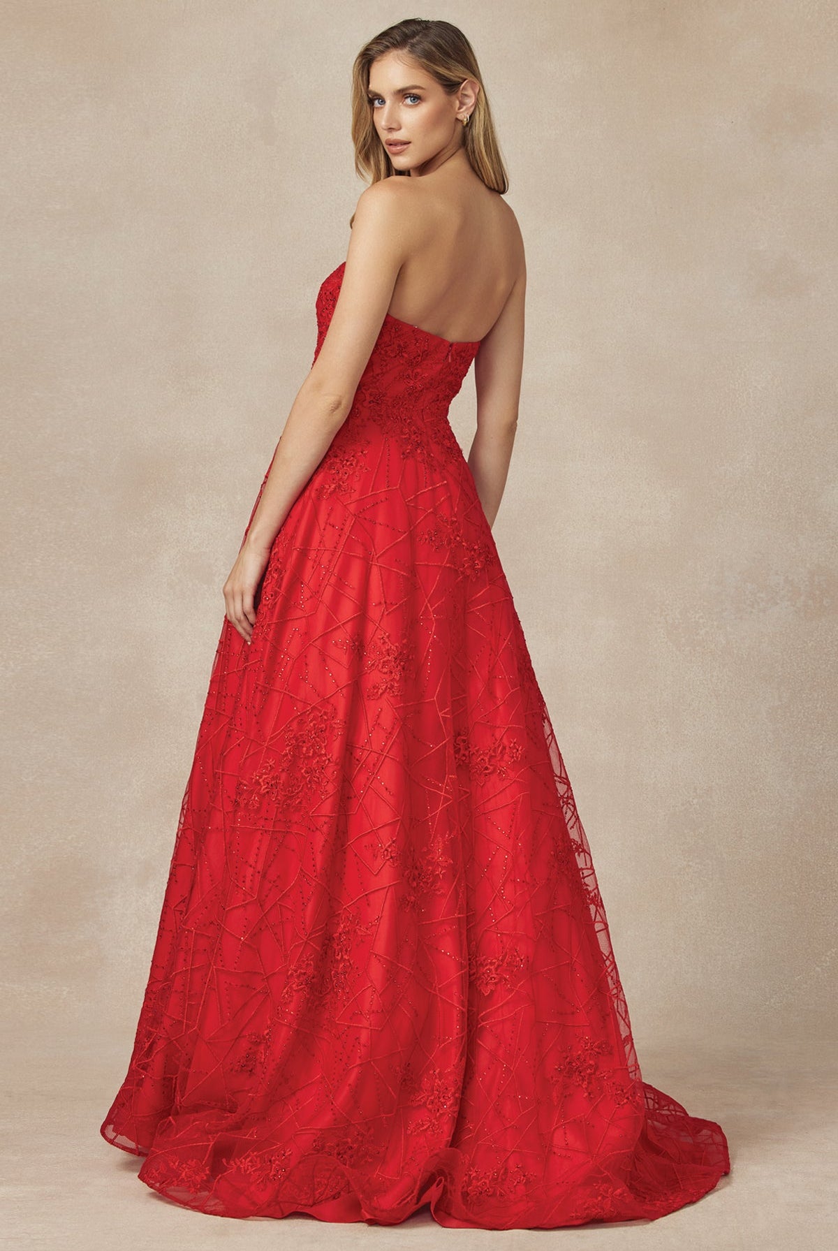 Embroidered Lace Strapless A-Line Open Back Long Prom Dress JT692-Prom Dress-smcfashion.com