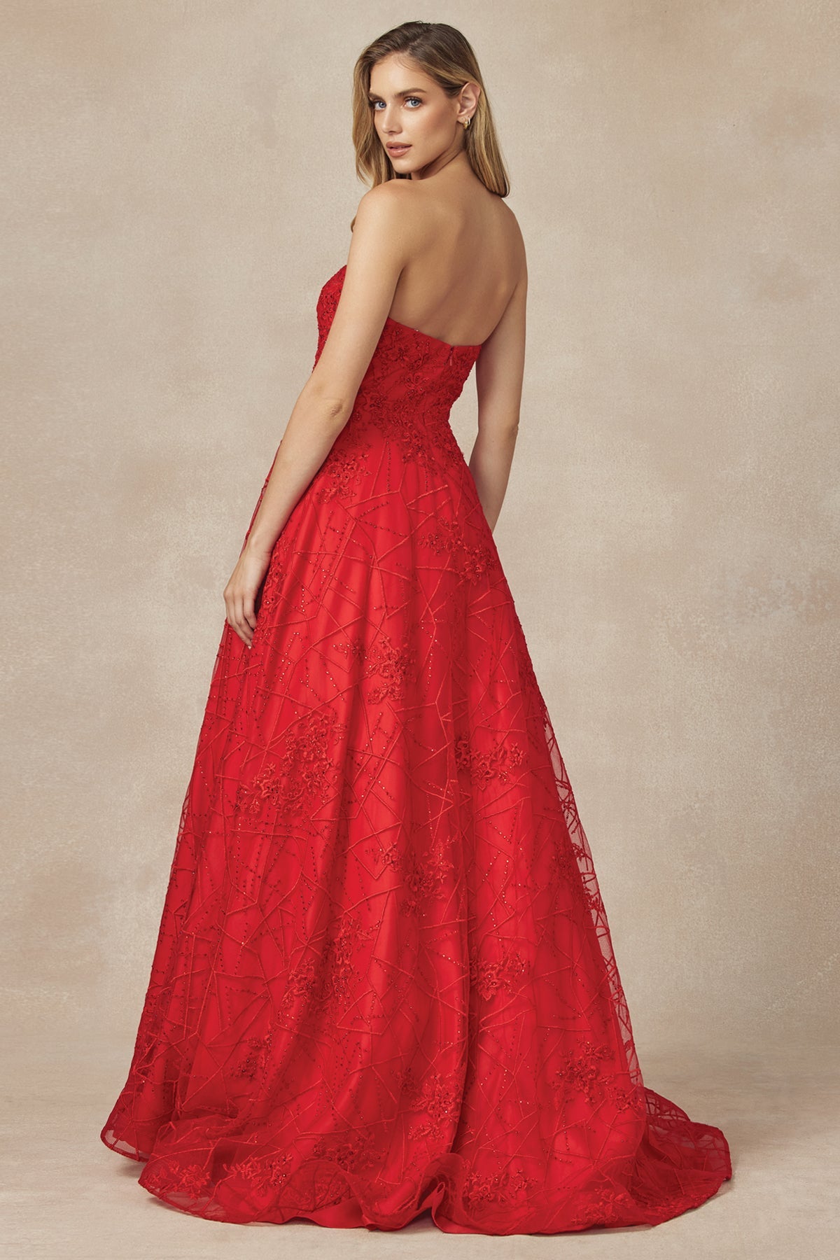 Embroidered Lace Strapless A-Line Open Back Long Prom Dress JT692-Prom Dress-smcfashion.com