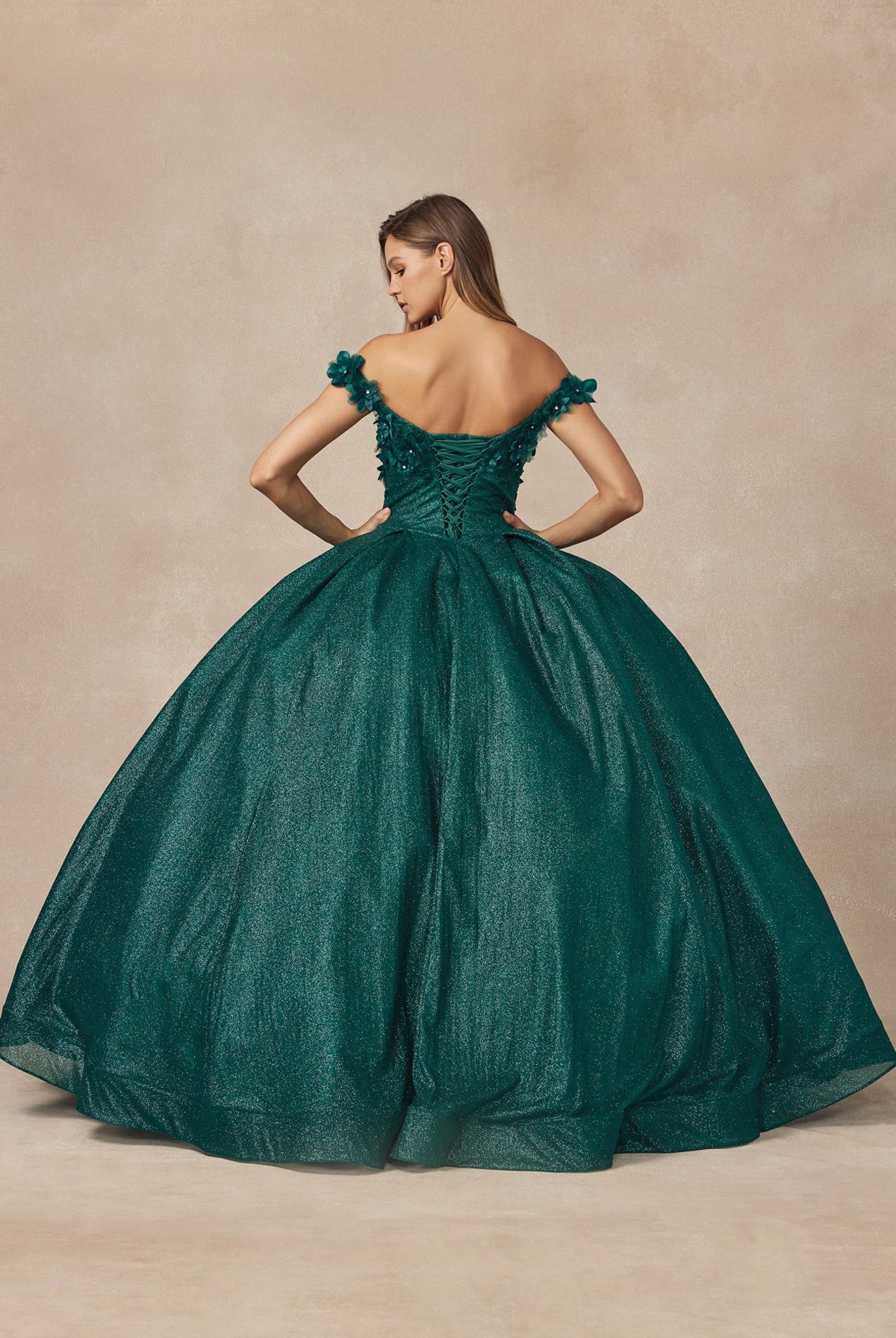 Floral Embroidered Tulle Sweetheart Long Quinceanera Dress JT1433-Quinceanera Dress-smcfashion.com