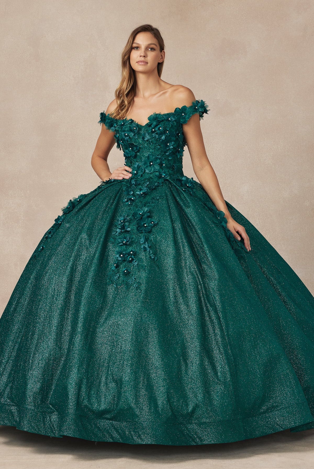 Floral Embroidered Tulle Sweetheart Long Quinceanera Dress JT1433-Quinceanera Dress-smcfashion.com