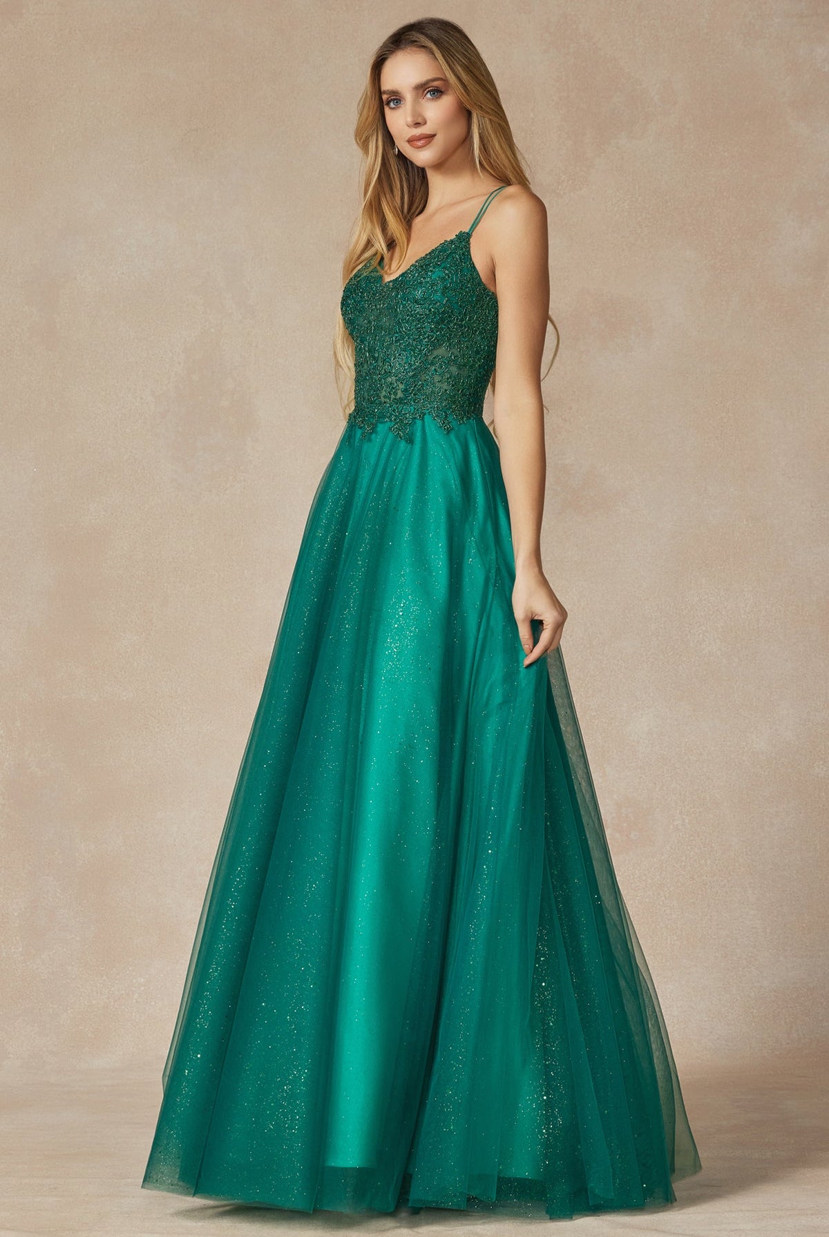 Tulle Skirt Embroidered Bodice Open Criss Cross Back Long Prom Dress JT268-Prom Dress-smcfashion.com