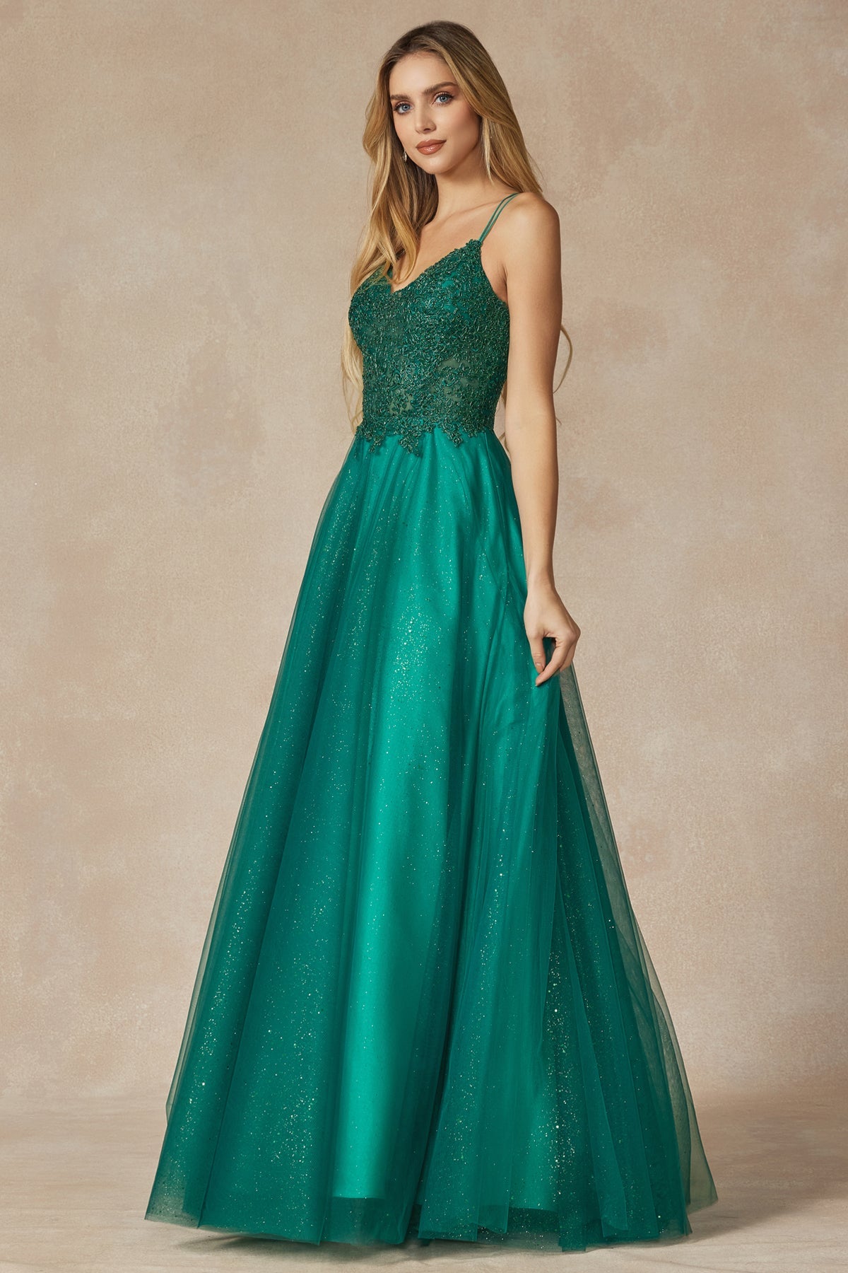Tulle Skirt Embroidered Bodice Open Criss Cross Back Long Prom Dress JT268-Prom Dress-smcfashion.com