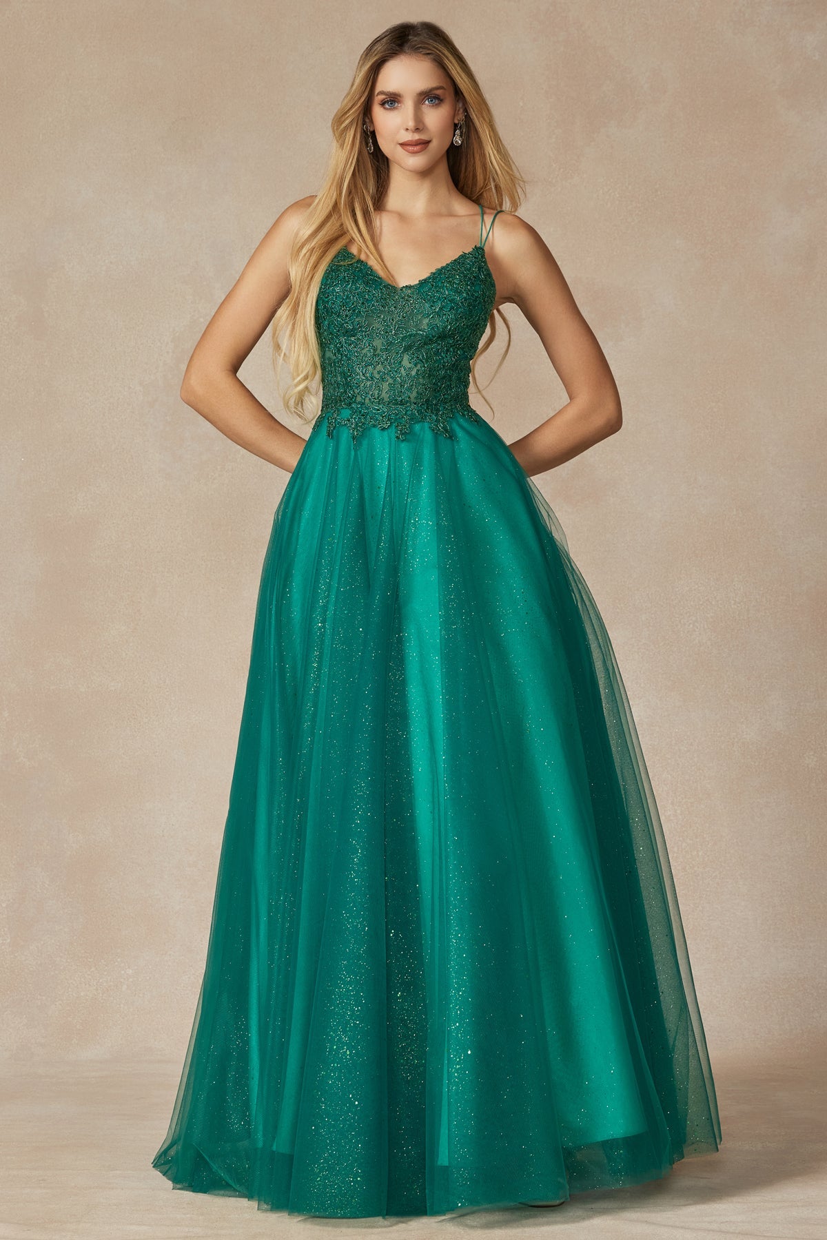 Tulle Skirt Embroidered Bodice Open Criss Cross Back Long Prom Dress JT268-Prom Dress-smcfashion.com