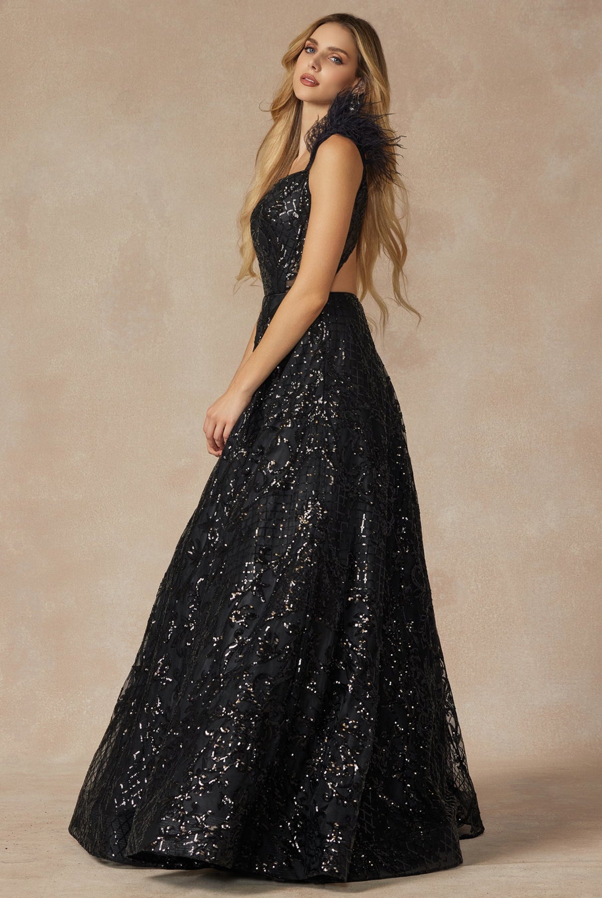 Feathered Cap Sleeve Patterned Sequin A-Line Long Prom Dress JT297-Prom Dress-smcfashion.com