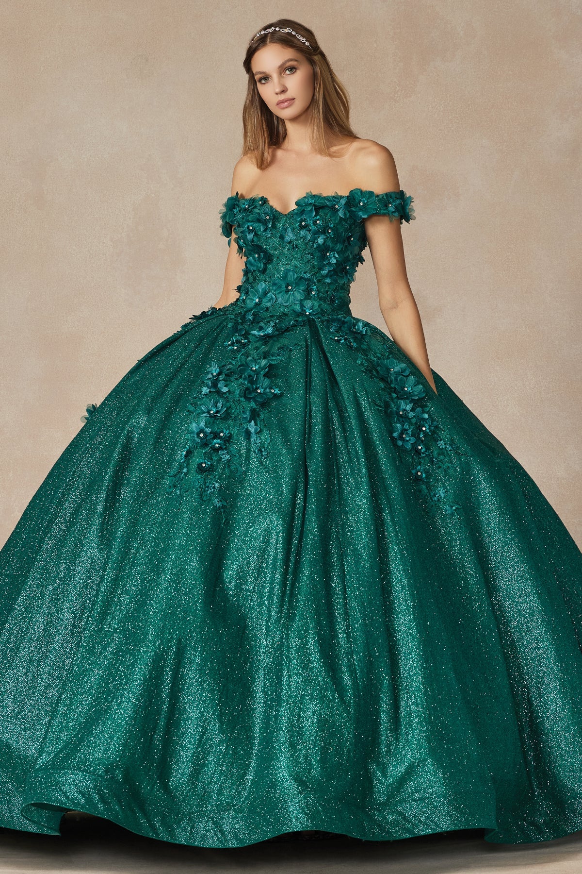 Floral Embroidered Tulle Sweetheart Long Quinceanera Dress JT1433-Quinceanera Dress-smcfashion.com