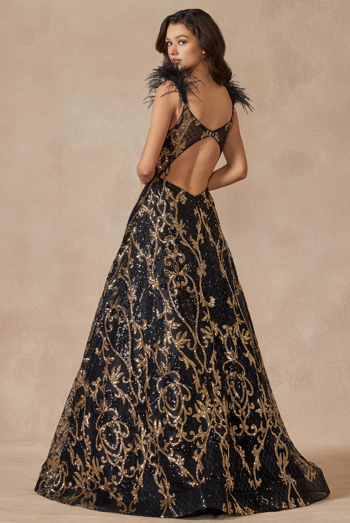 Feathered Cap Sleeve Patterned Sequin A-Line Long Prom Dress JT297-Prom Dress-smcfashion.com