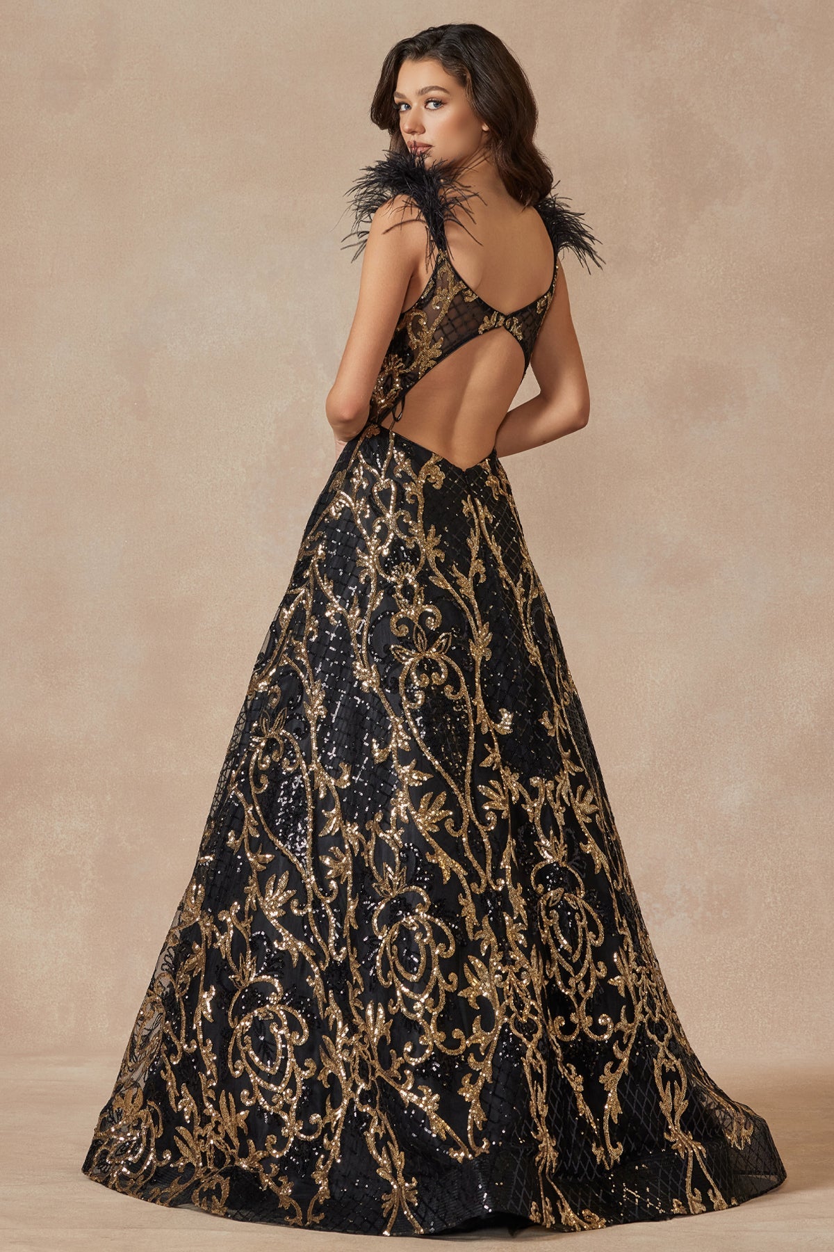 Feathered Cap Sleeve Patterned Sequin A-Line Long Prom Dress JT297-Prom Dress-smcfashion.com