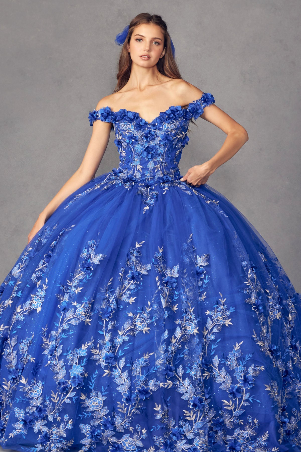 3D Floral Appliques With Off Shoulder Long Quinceanera Dress JT1447-Quinceanera Dress-smcfashion.com