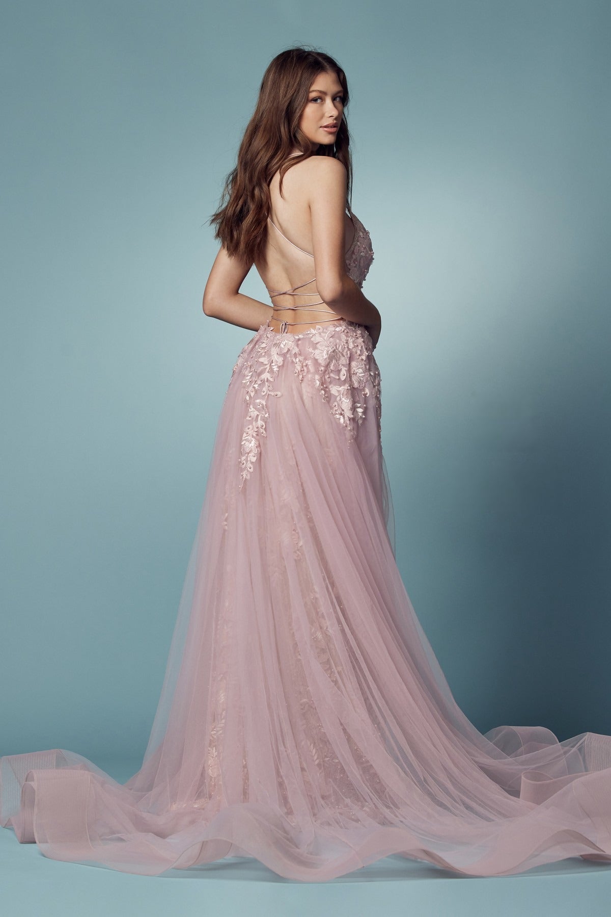 Embroidered Lace Illusion V-Neck Tulle Skirt Long Prom Dress NXF485-All Dresses-smcfashion.com