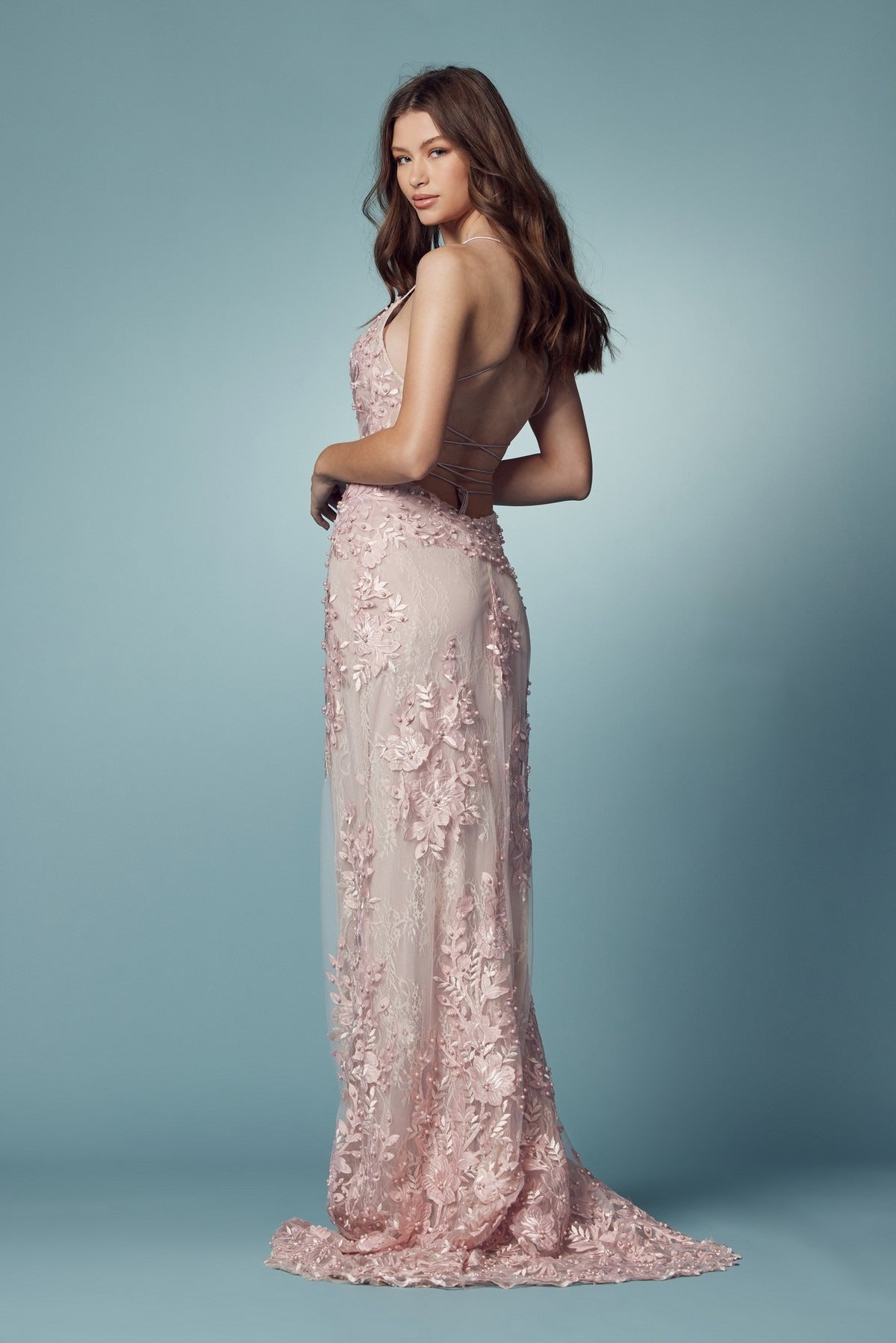 Embroidered Lace Illusion V-Neck Tulle Skirt Long Prom Dress NXF485-All Dresses-smcfashion.com