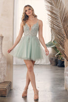 Plunging V-Neck Spaghetti Straps Embroidered Bodice Short Cocktail Dress NXG785-Cocktail Dress-smcfashion.com