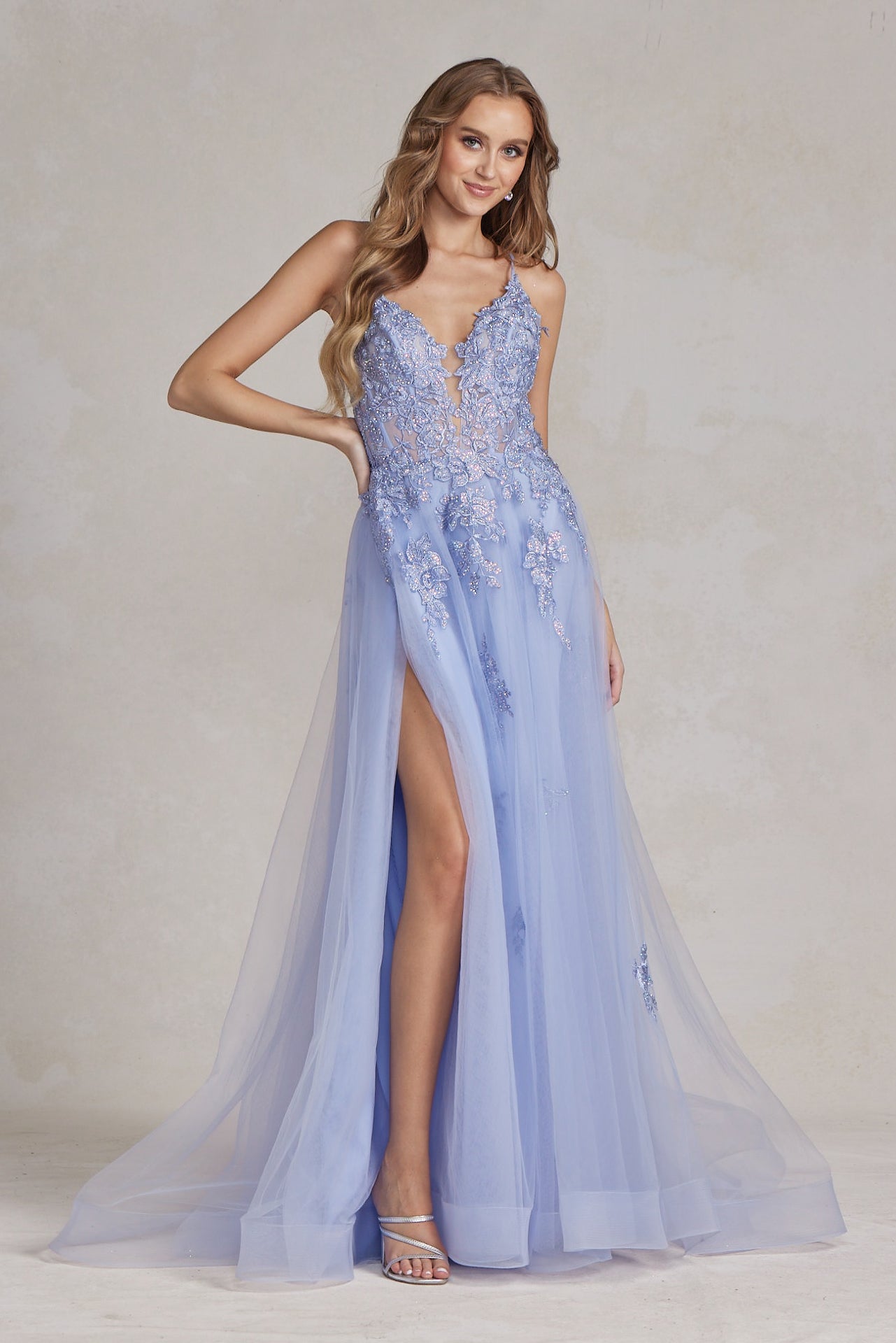 A-Line Tulle Skirt Embroidered Lace Long Prom Dress NXG1149-Prom Dress-smcfashion.com