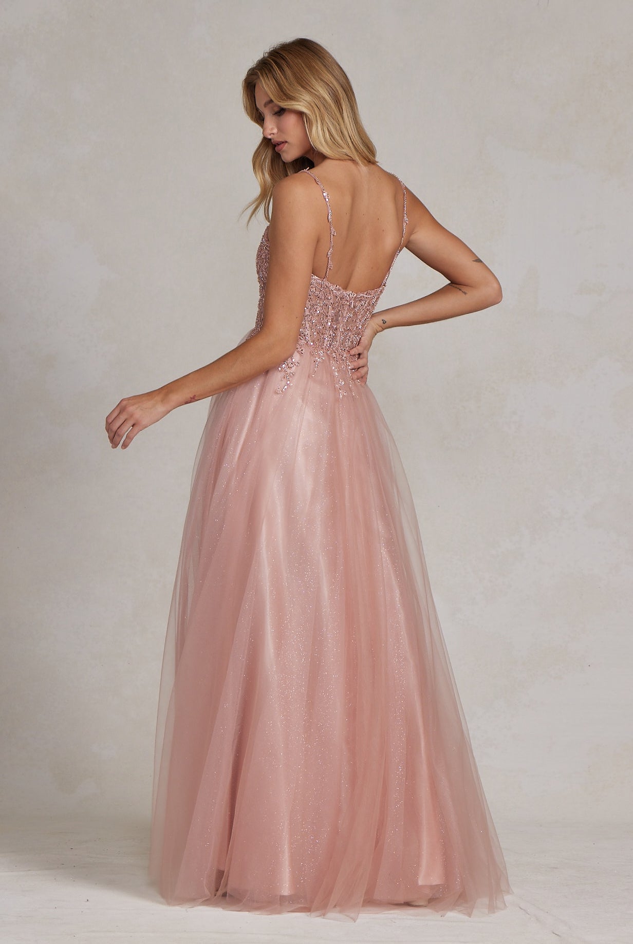 Embroidered Beads Tulle Skirt Open Back Long Prom Dress NXF1086-Prom Dress-smcfashion.com