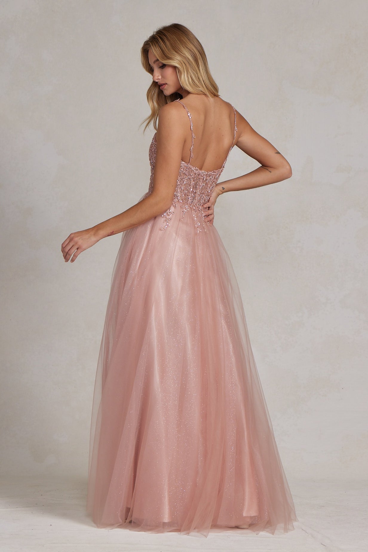 Embroidered Beads Tulle Skirt Open Back Long Prom Dress NXF1086-Prom Dress-smcfashion.com
