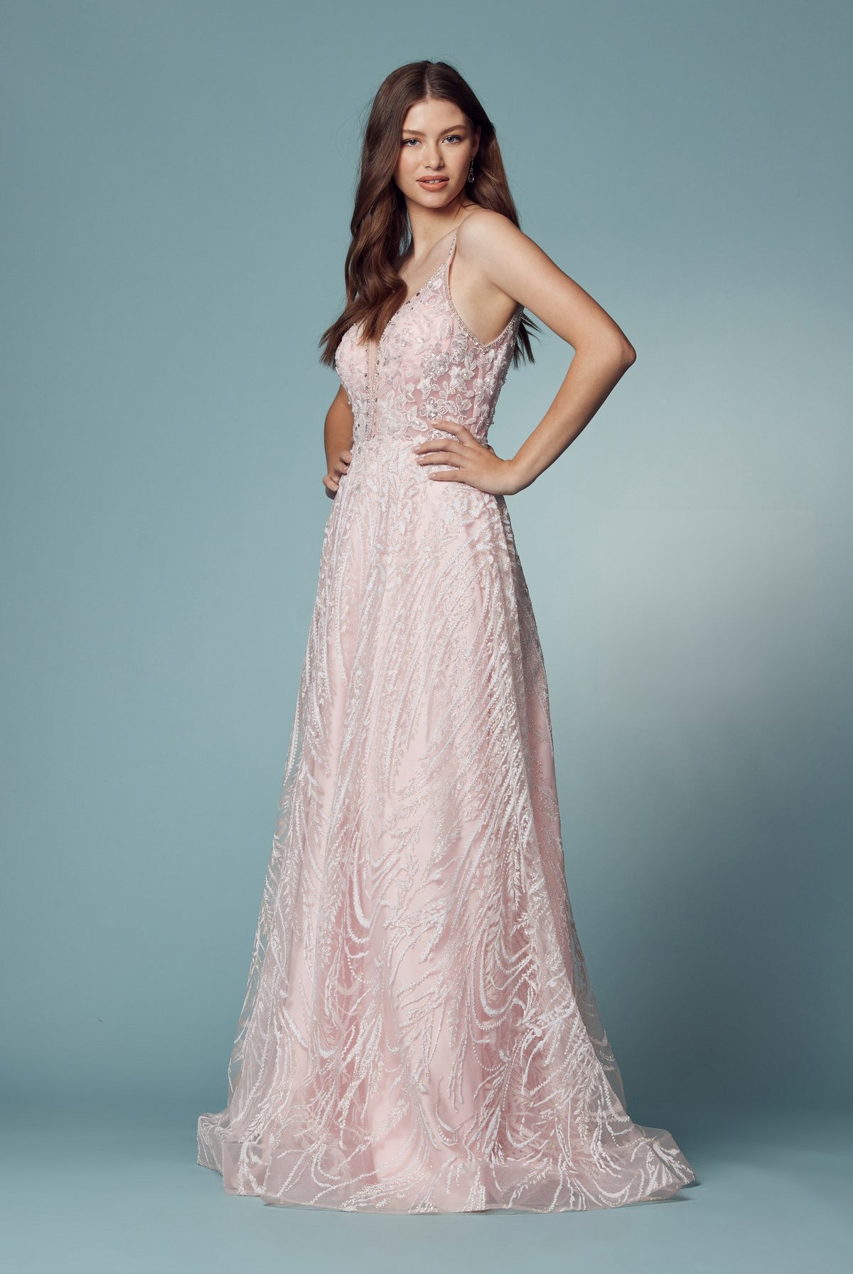 Embroidered Lace Illusion V-Neck A-Line Long Prom Dress NXT1009-Prom Dress-smcfashion.com