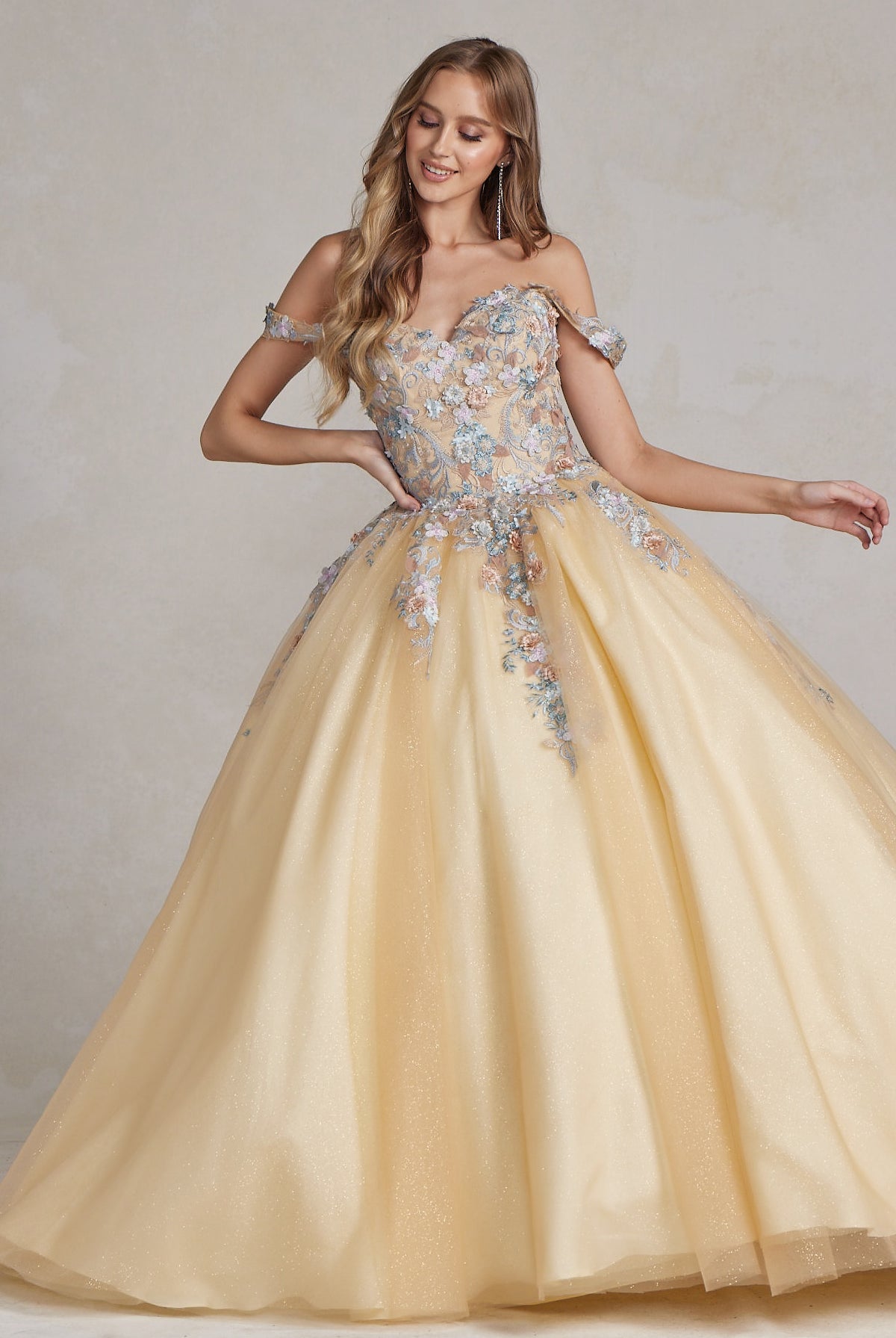 Off Shoulder Embroidered Lace Bodice Long Quinceanera Dress NXJU809-Quinceanera Dress-smcfashion.com