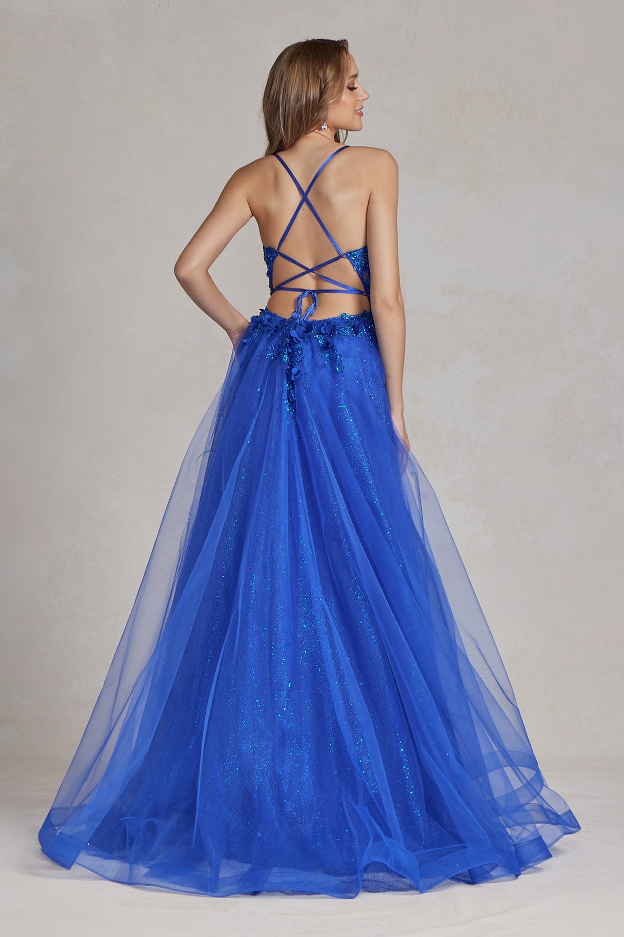 Tulle Skirt Embroidered Lace Open Criss Cross Back Long Prom Dress NXC1113-Prom Dress-smcfashion.com