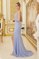 Side Slit Satin Sheer Back Sleeveless Spaghetti Straps Long Evening Dress NXP1168-Evening Dress-smcfashion.com