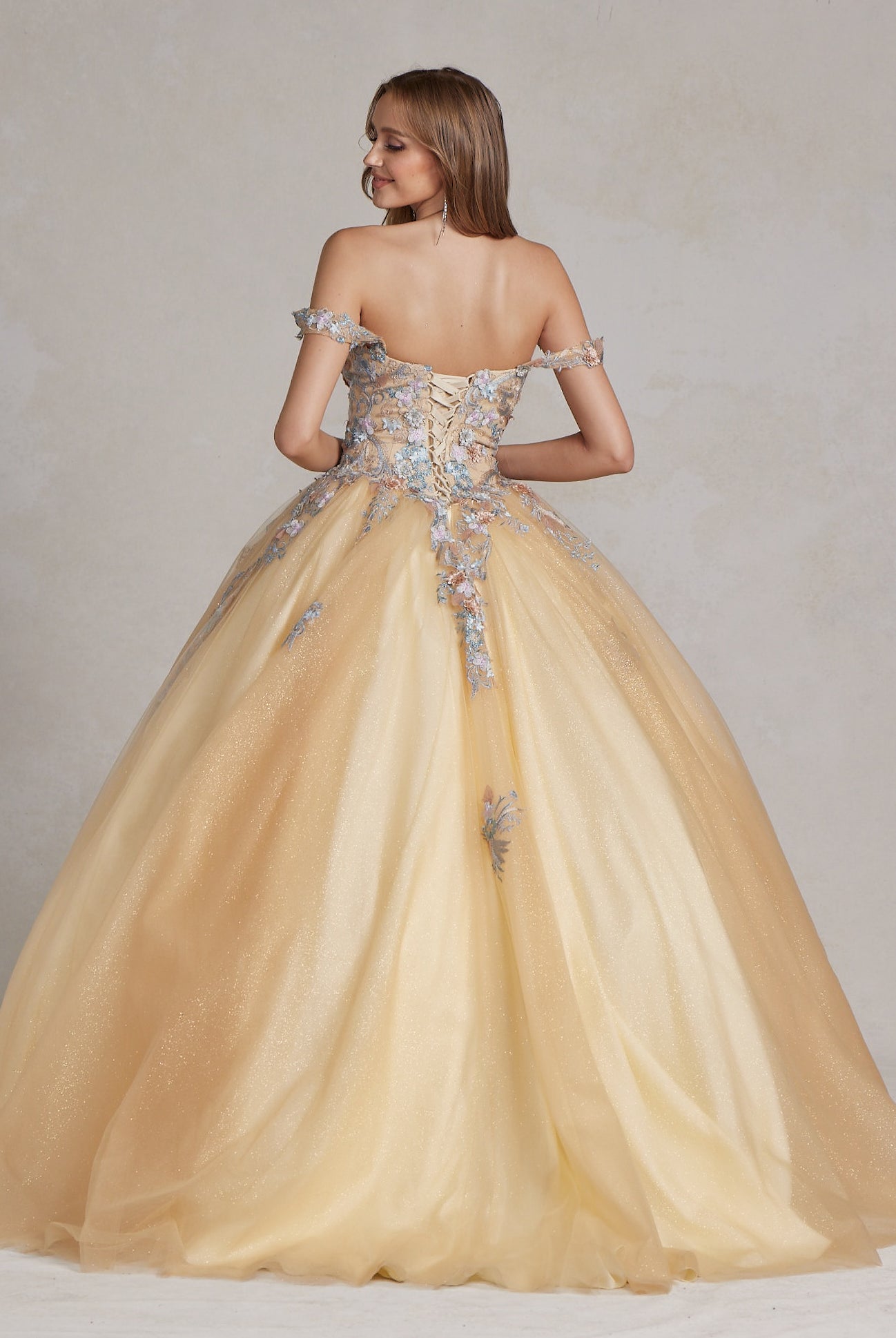 Off Shoulder Embroidered Lace Bodice Long Quinceanera Dress NXJU809-Quinceanera Dress-smcfashion.com