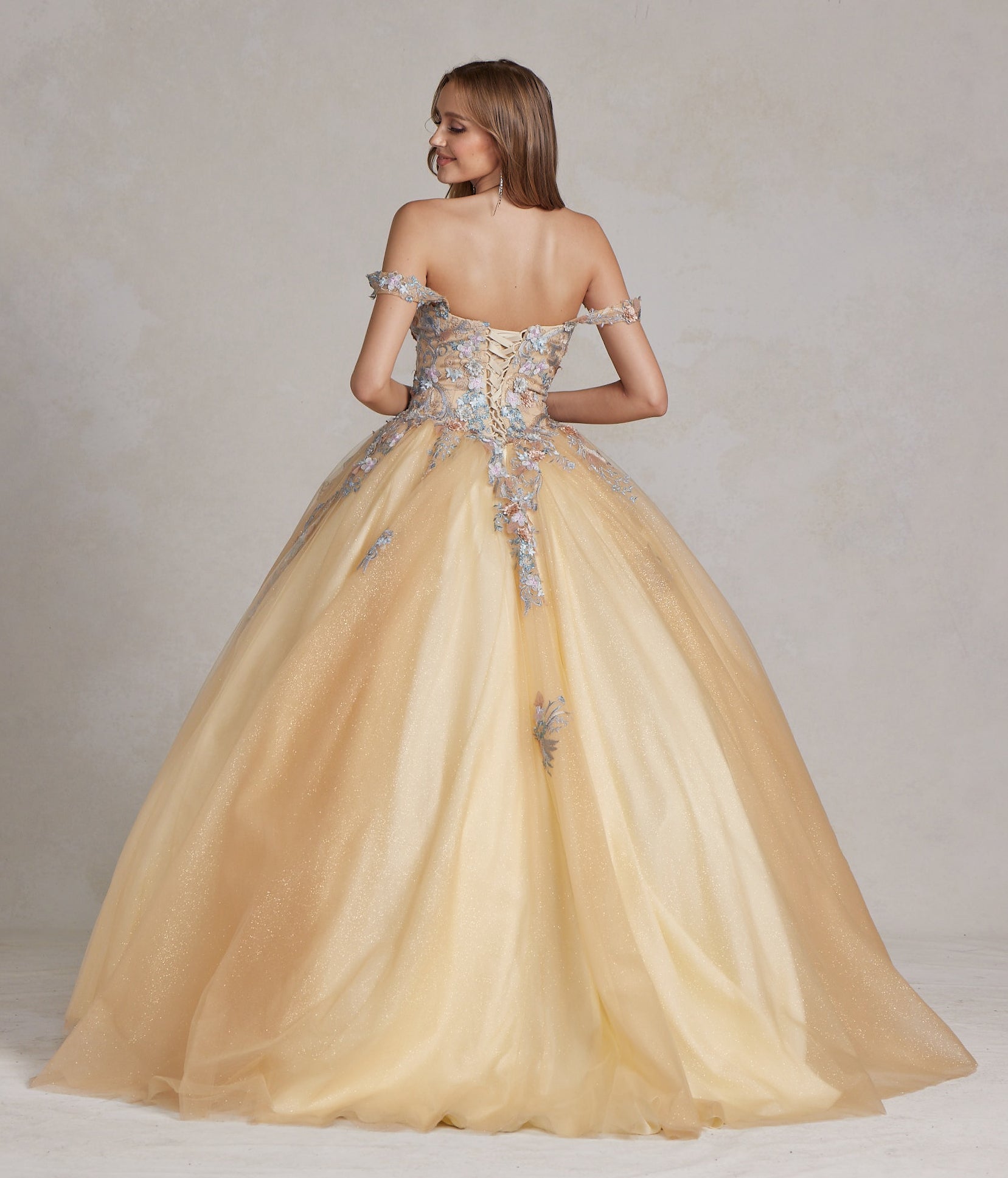 Off Shoulder Embroidered Lace Bodice Long Quinceanera Dress NXJU809-Quinceanera Dress-smcfashion.com