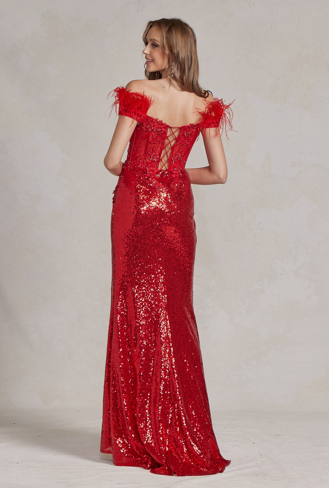 Off Shoulder Embellished Feather Illusion Sweetheart Long Prom Dress NXS1229-Prom Dress-smcfashion.com