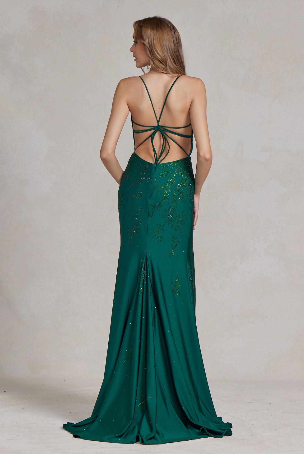 Embroidered Flowers Open Criss Cross Back Illusion V-Neck Long Evening Dress NXE1206-Prom Dress-smcfashion.com