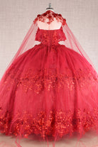 Glitter 3D Flower Applique Mesh w/ Long Mesh Cape Long Quinceanera Dress GLGL3179-QUINCEANERA-smcfashion.com