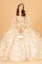 Mesh Long Sleeves Quinceanera Dress Detachable Ribbon and Mini Bag GLGL3071-QUINCEANERA-smcfashion.com
