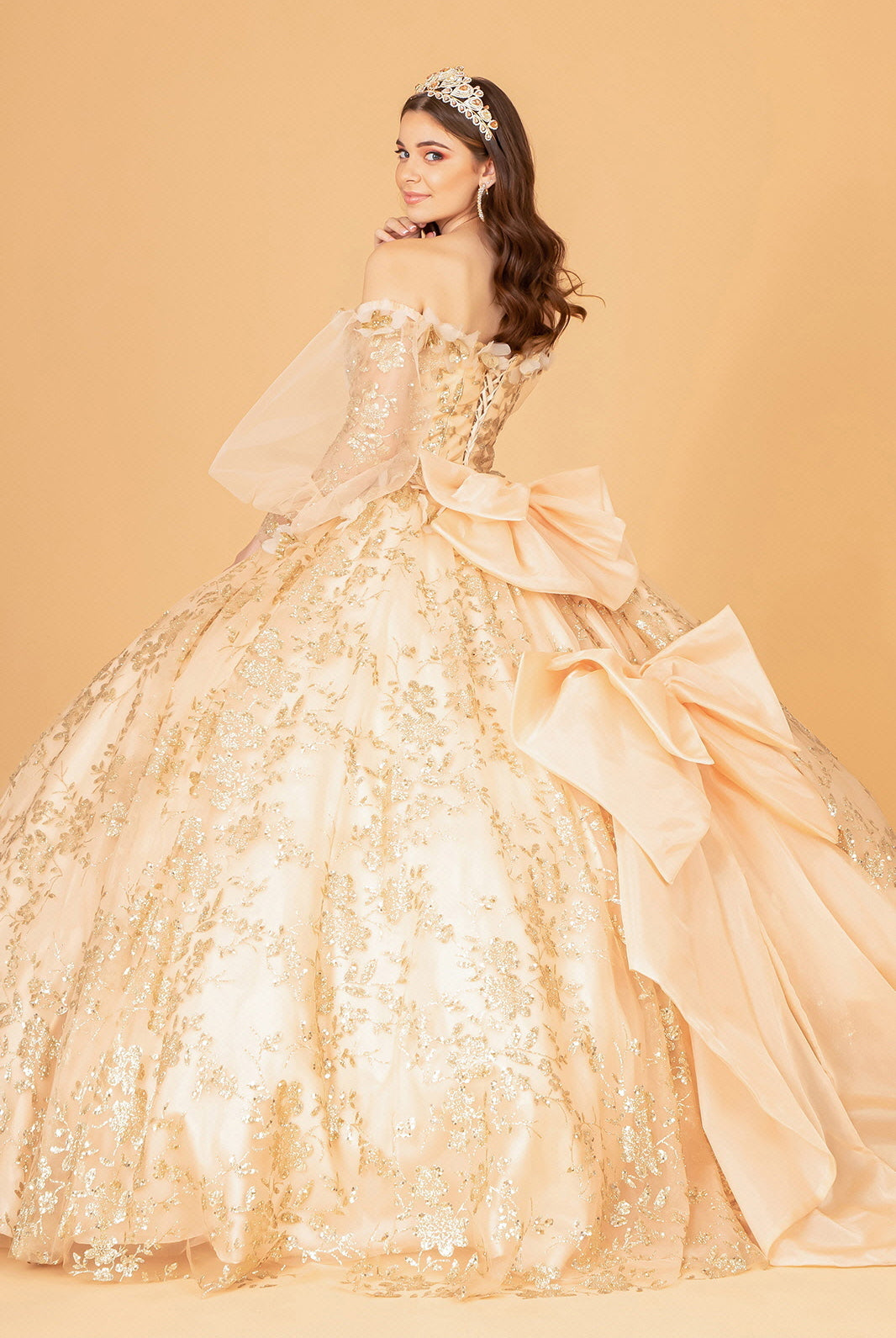 Mesh Long Sleeves Quinceanera Dress Detachable Ribbon and Mini Bag GLGL3071-QUINCEANERA-smcfashion.com