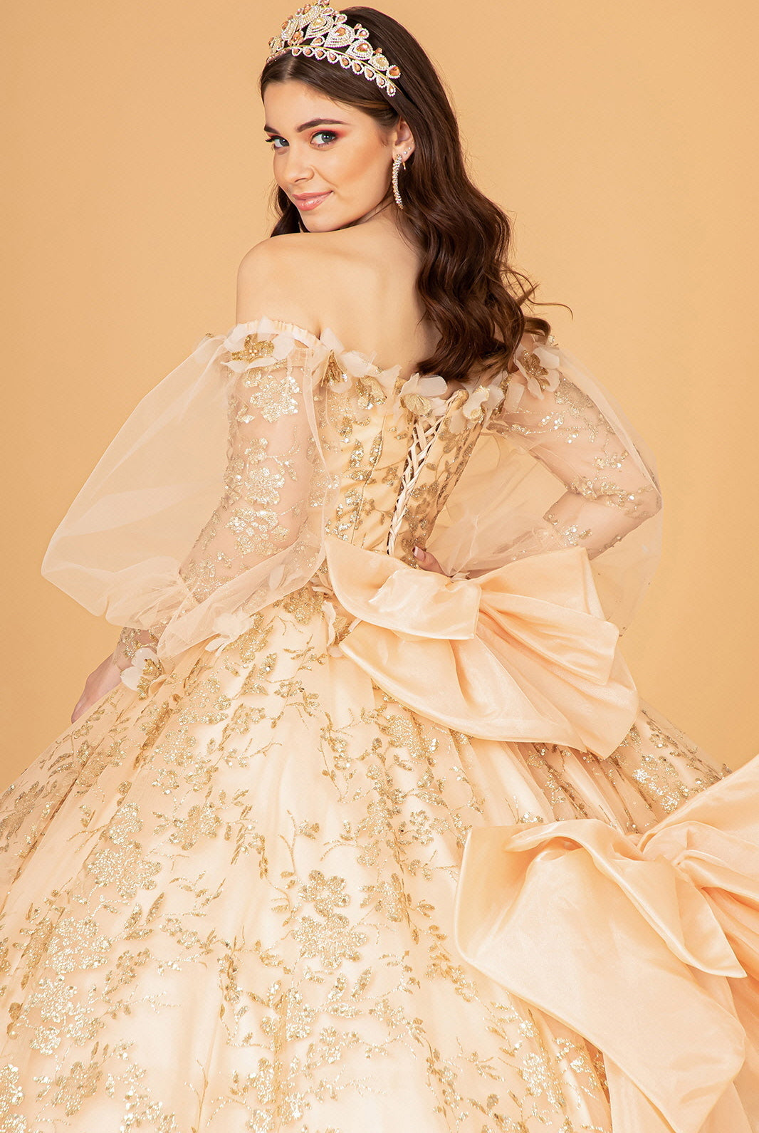 Mesh Long Sleeves Quinceanera Dress Detachable Ribbon and Mini Bag GLGL3071-QUINCEANERA-smcfashion.com